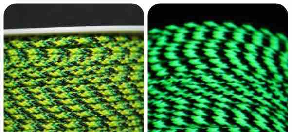 (image for) GeckoBlacklightParacord - Click Image to Close